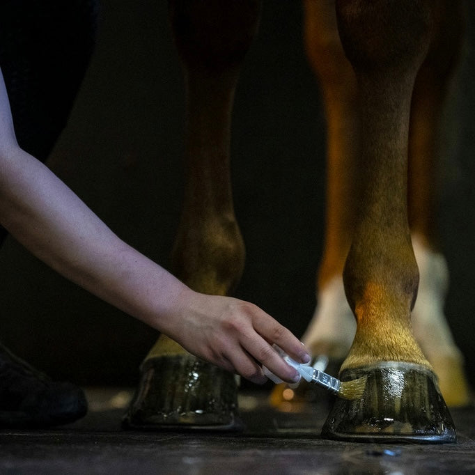 Hoof Dressing Kevin Bacon's ~ Huile pour sabots 500ml