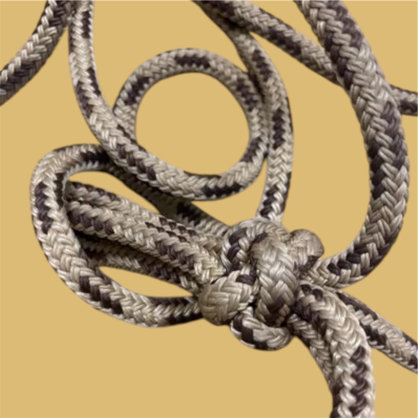 Licol éthologique ~ T de T - Taille Cob