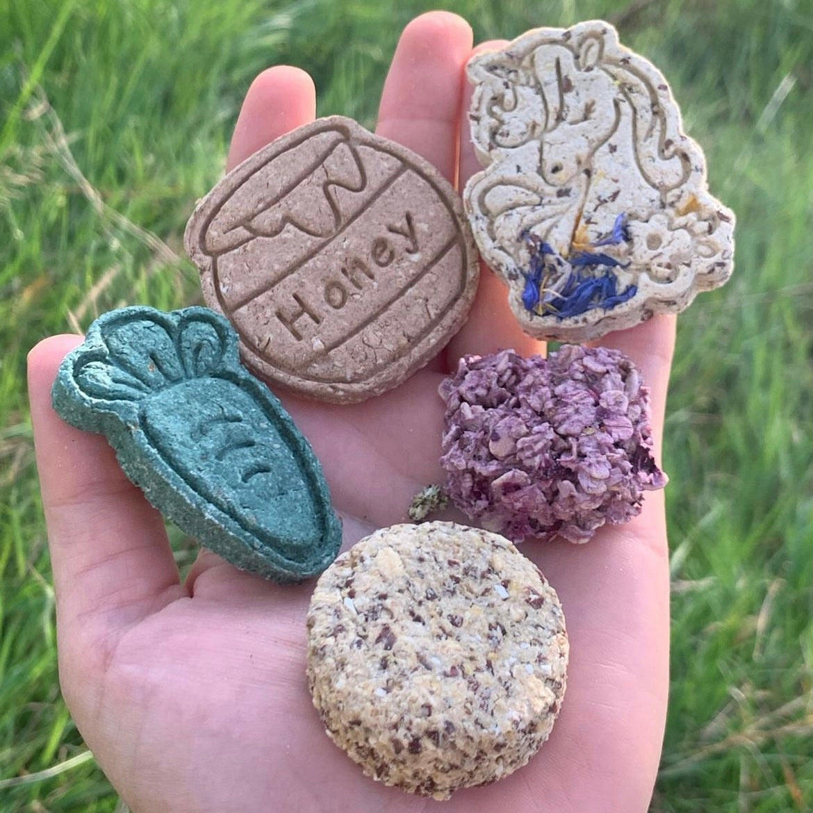 Gamme Digestion & Immunité - Pain d’épices/Cannelle - 200g ~ YUMMY PONY