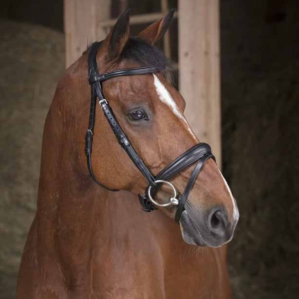 Bridon noir ~ NORTON Pro Soft