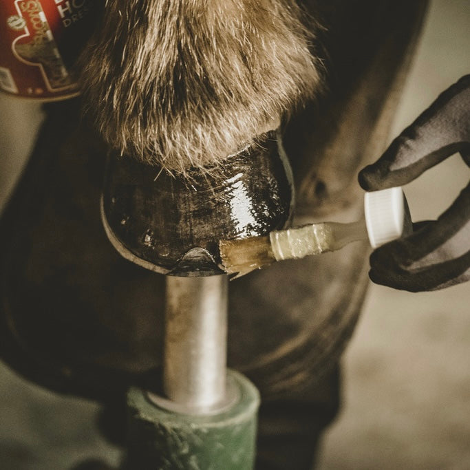 Hoof Dressing Kevin Bacon's ~ Huile pour sabots 500ml