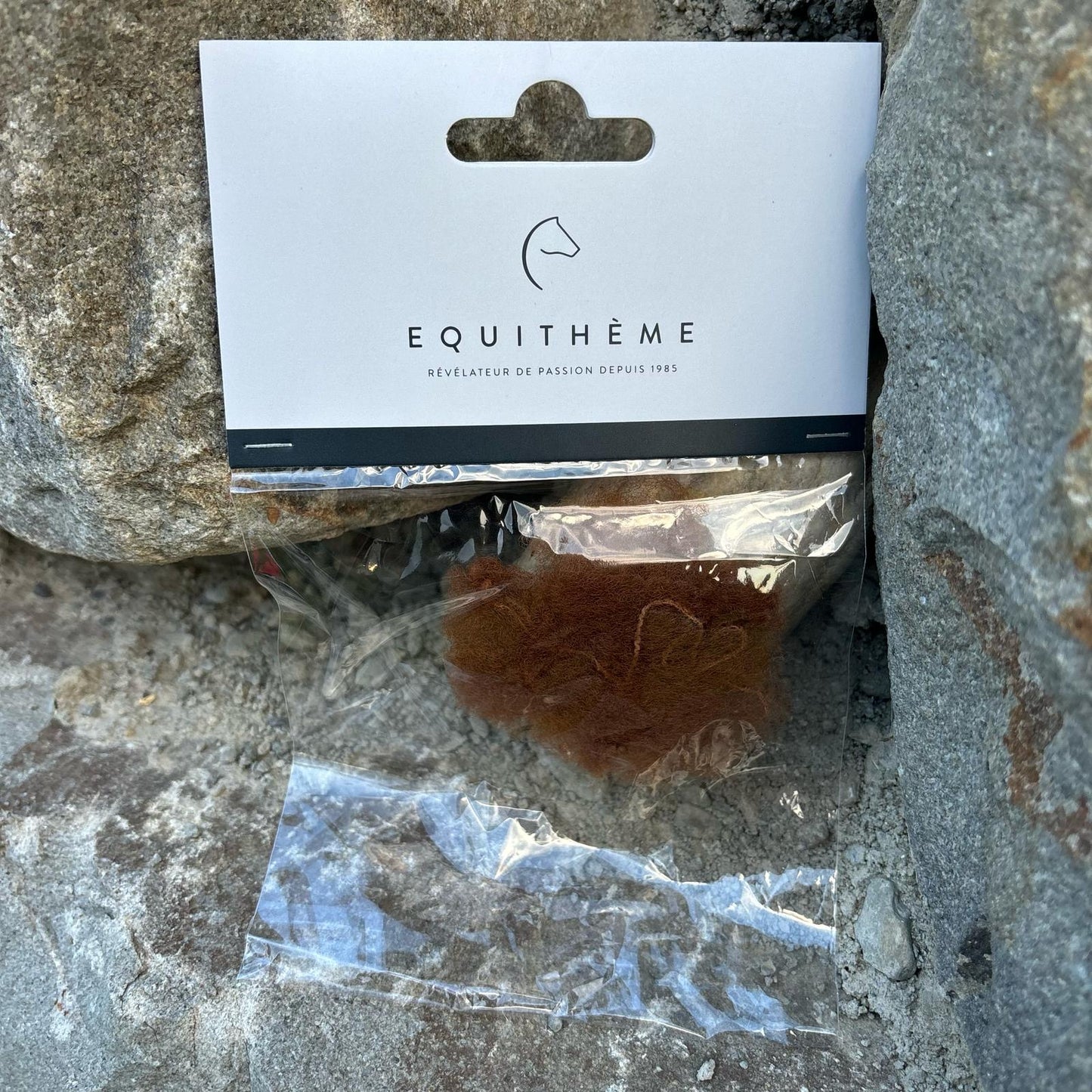 Résilles pour cheveux (lot de 2) ~ EQUITHÈME Filet