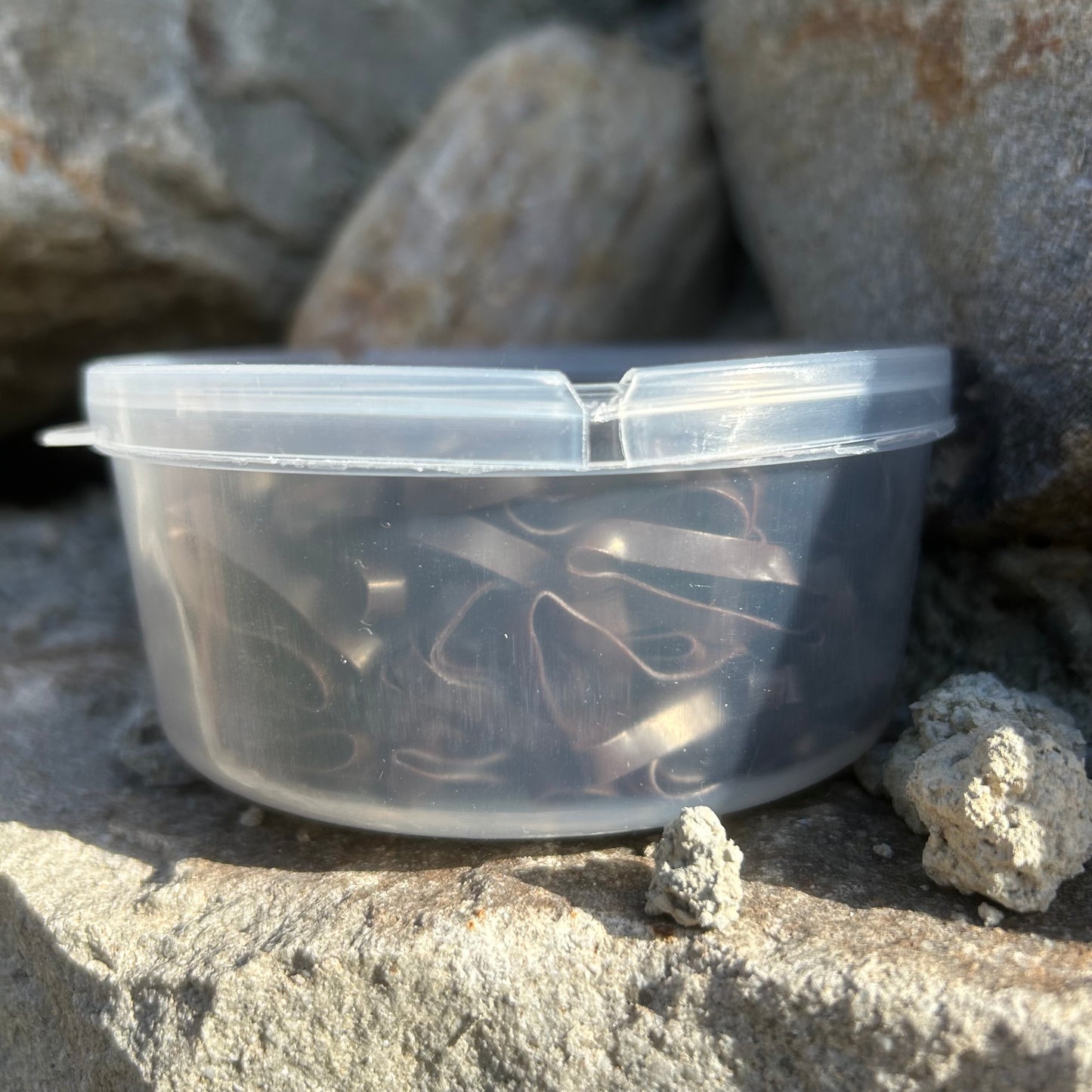 Élastiques plats ~ Hippo-Tonic