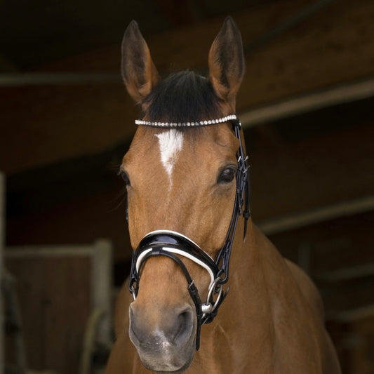 Bridon Bella taille Cob ~ NORTON Pro