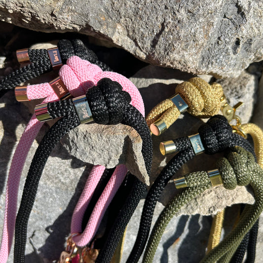 Laisse en paracorde pour chien 150cm