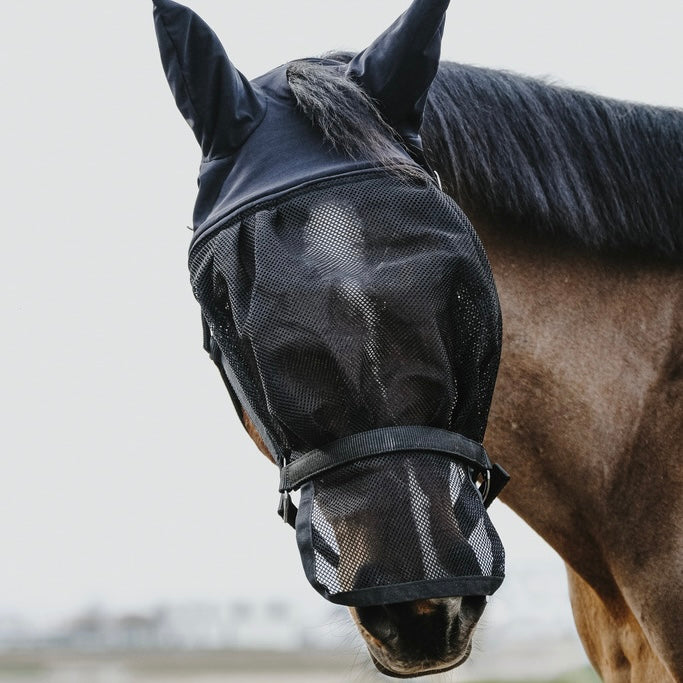 Licol masque intégré ~ EQUITHÈME