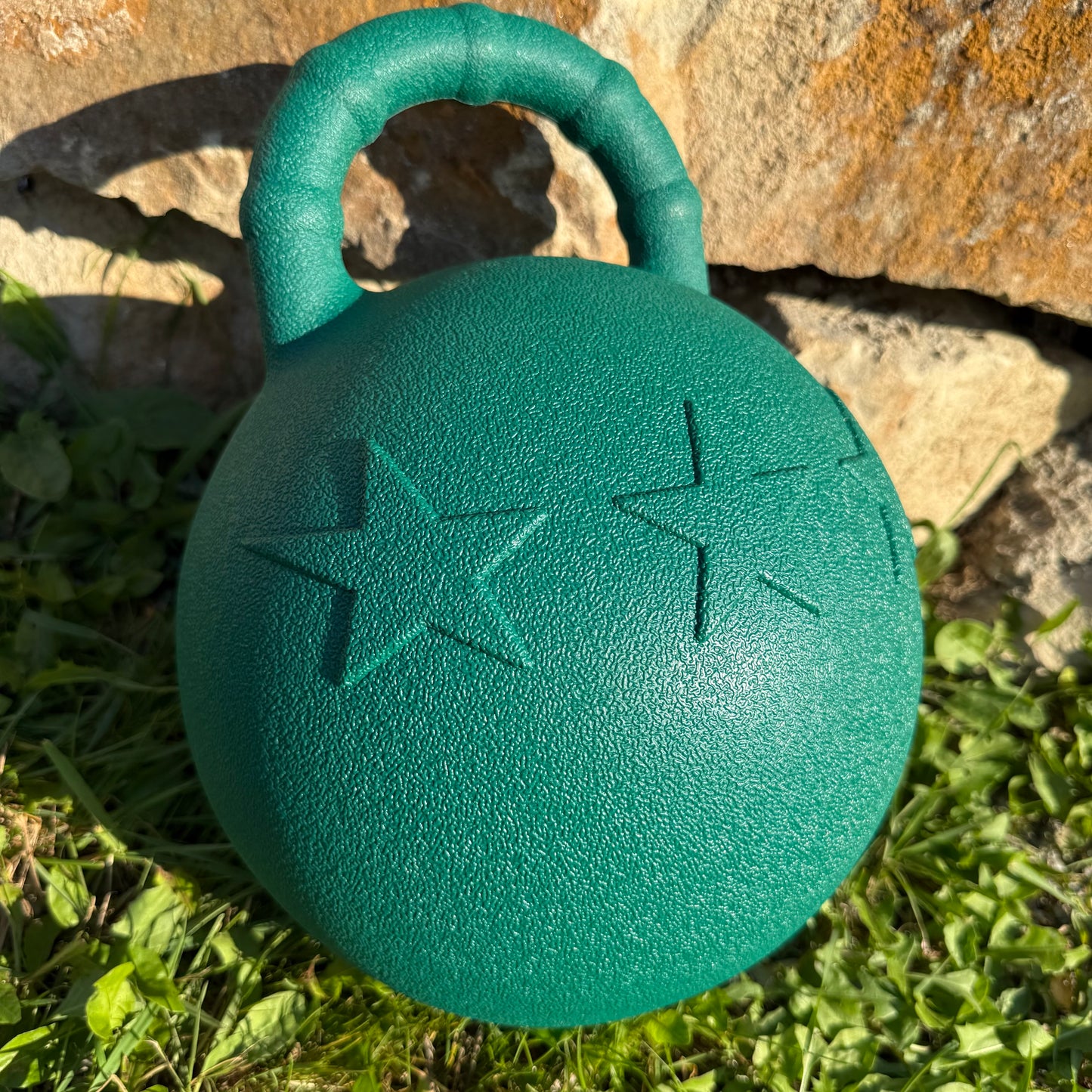 Ballon à poignée pour chevaux ~ Hippo-Tonic