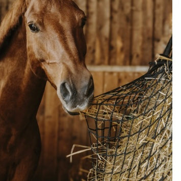Filet à foin rectangle ~ HIPPO TONIC