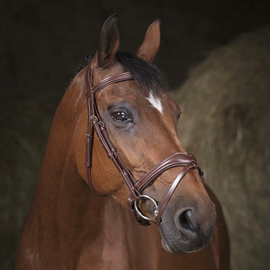 Bridon havane ~ NORTON Pro Vague