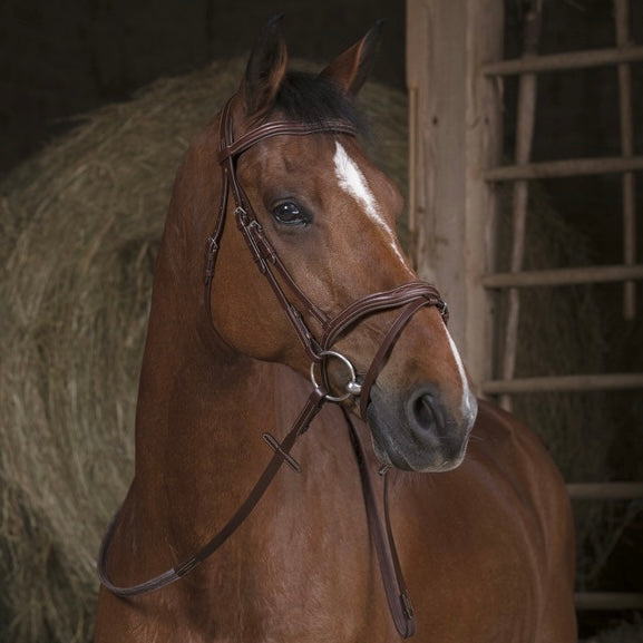 Rênes caoutchouc havane 13mm ~ NORTON PRO