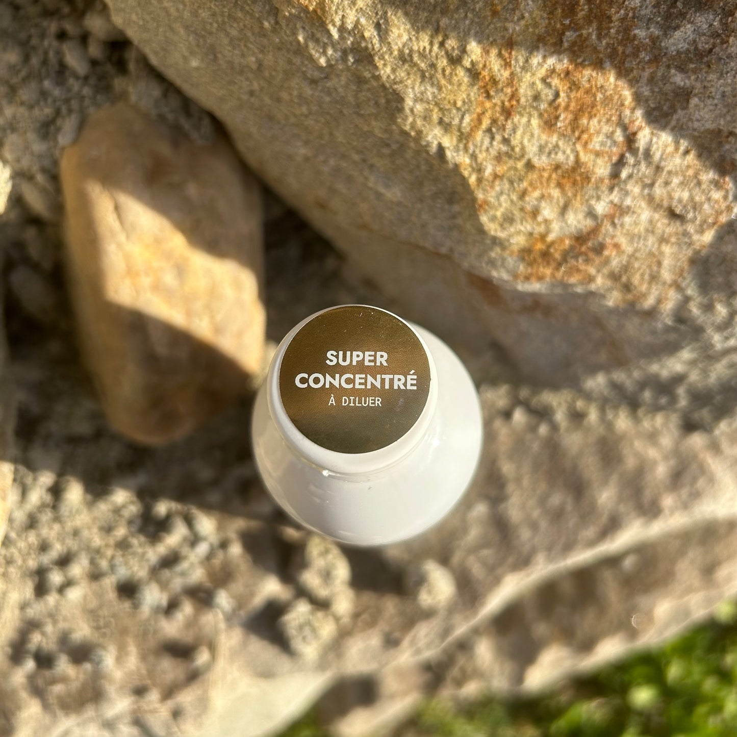 Shampoing pour chien 250ml ~ ALODIS CARE