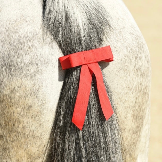 Ruban de queue rouge ~ NORTON