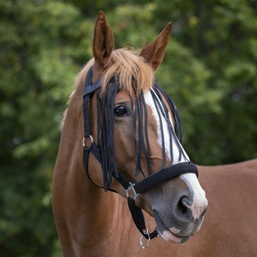 Frontal chasse-mouches ~ NORTON