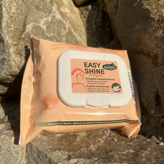 Lingettes nettoyantes ~ RAVENE Easy Shine