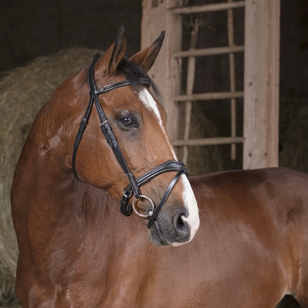 Bridon noir ~ NORTON Pro Soft