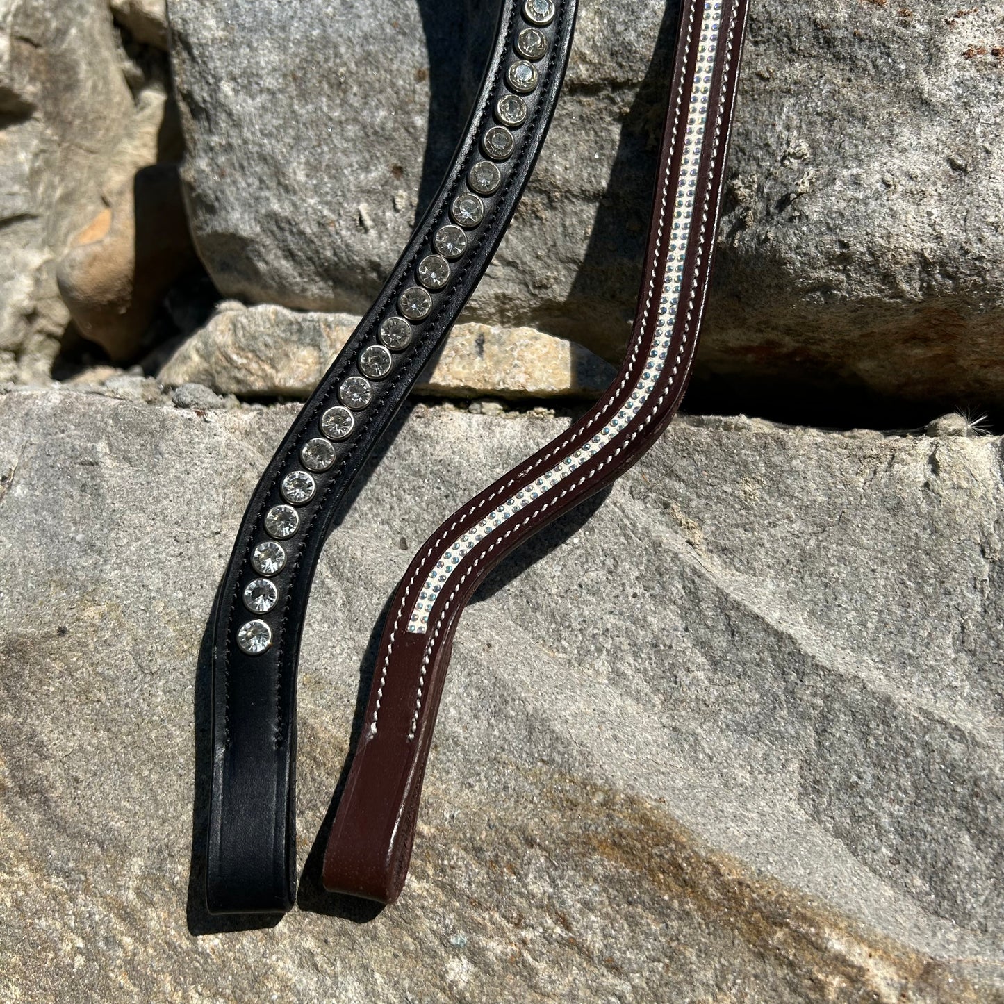 Frontal ~ NORTON Pro