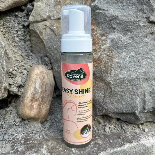 Mousse détachante ~ Ravene Easy Shine 200ml