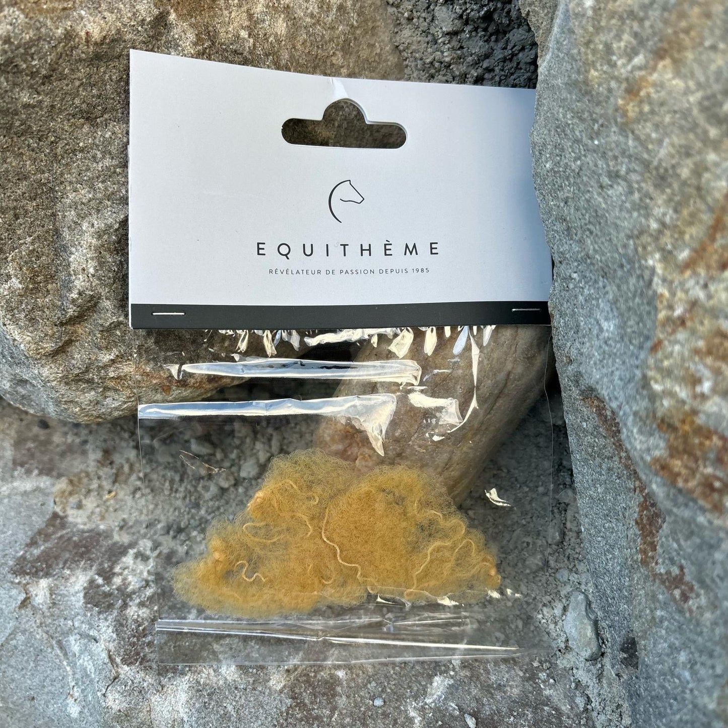 Résilles pour cheveux (lot de 2) ~ EQUITHÈME Filet