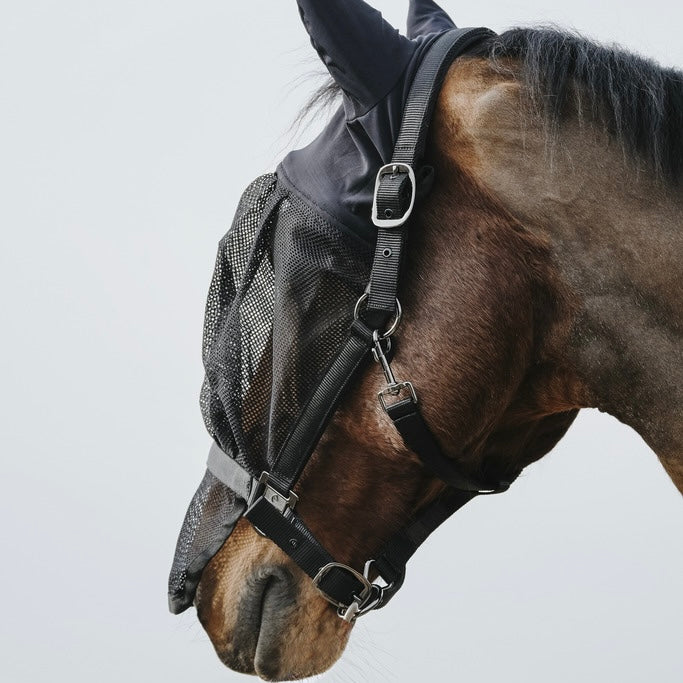 Licol masque intégré ~ EQUITHÈME