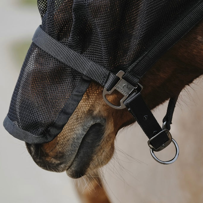 Licol masque intégré ~ EQUITHÈME