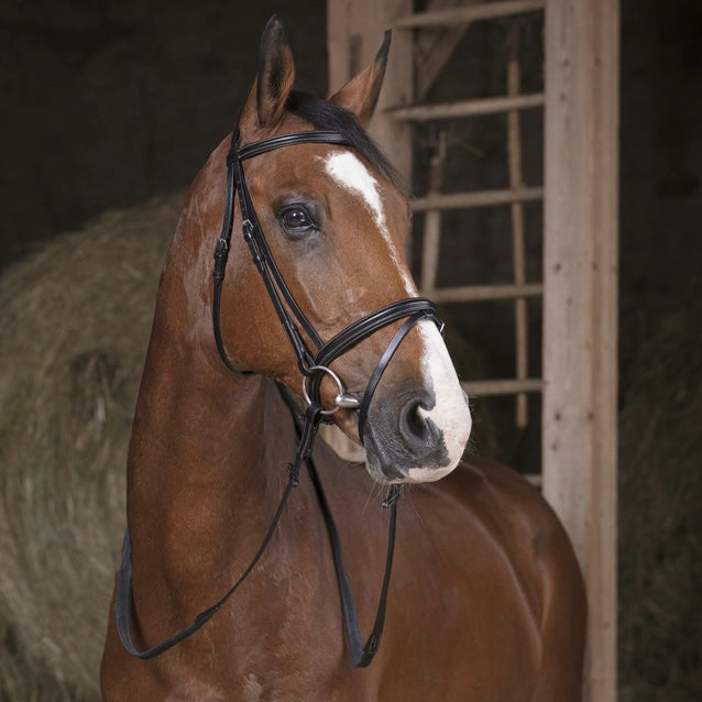 Rênes caoutchouc noir 13mm ~ NORTON PRO