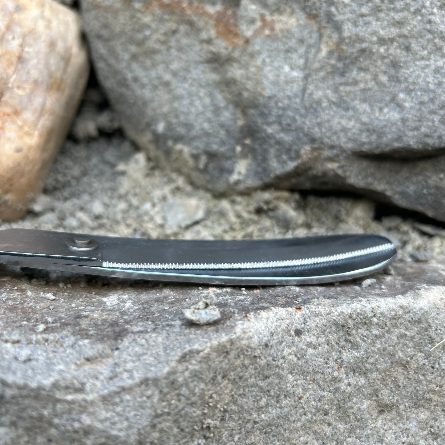 Ciseaux courbes ~ Hippo-Tonic