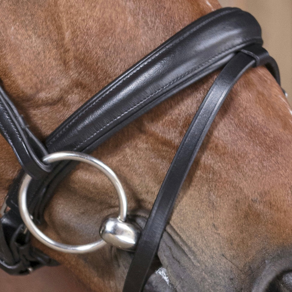 Bridon noir ~ NORTON Pro Soft