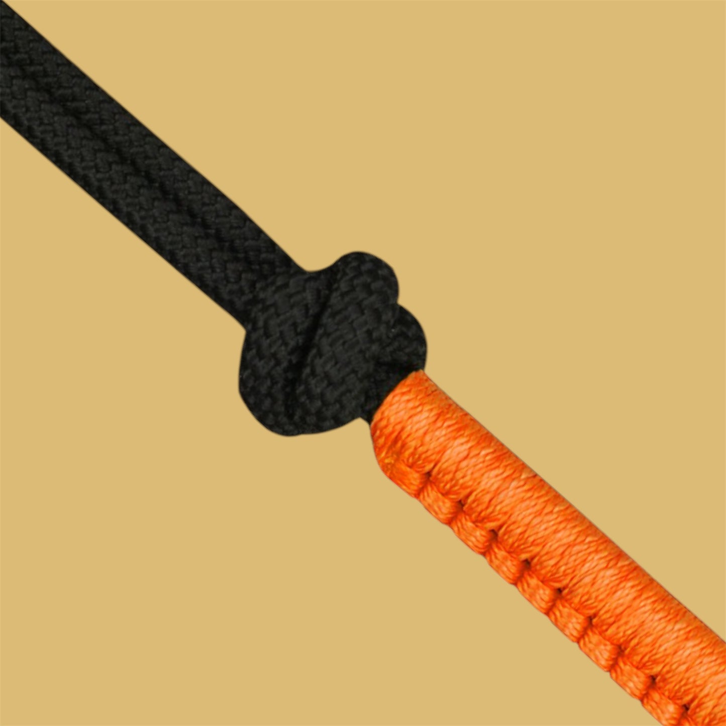 Licol éthologique + Longe | Taille Cob ~ NORTON FUN