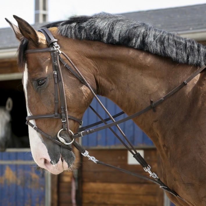 Gogue noir cheval ~ RIDING WORLD