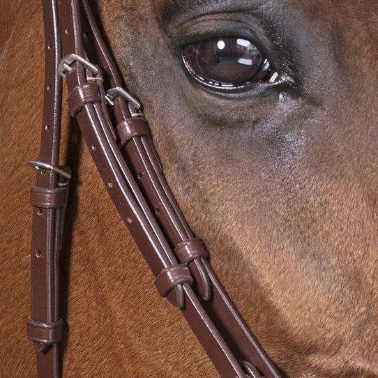 Bridon havane ~ NORTON Pro Vague