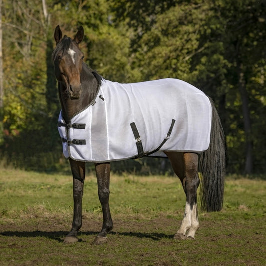 Chemise 2 en 1 (anti-insectes et séchante) ~ Equithème 3D Mesh