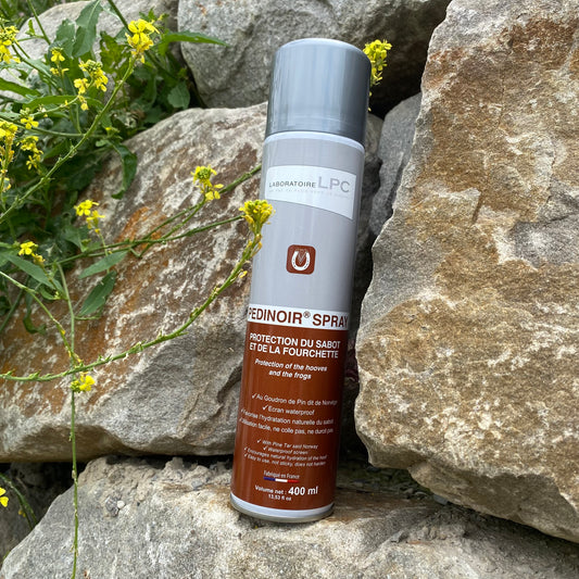 Goudron ~ LPC Spray 400ml