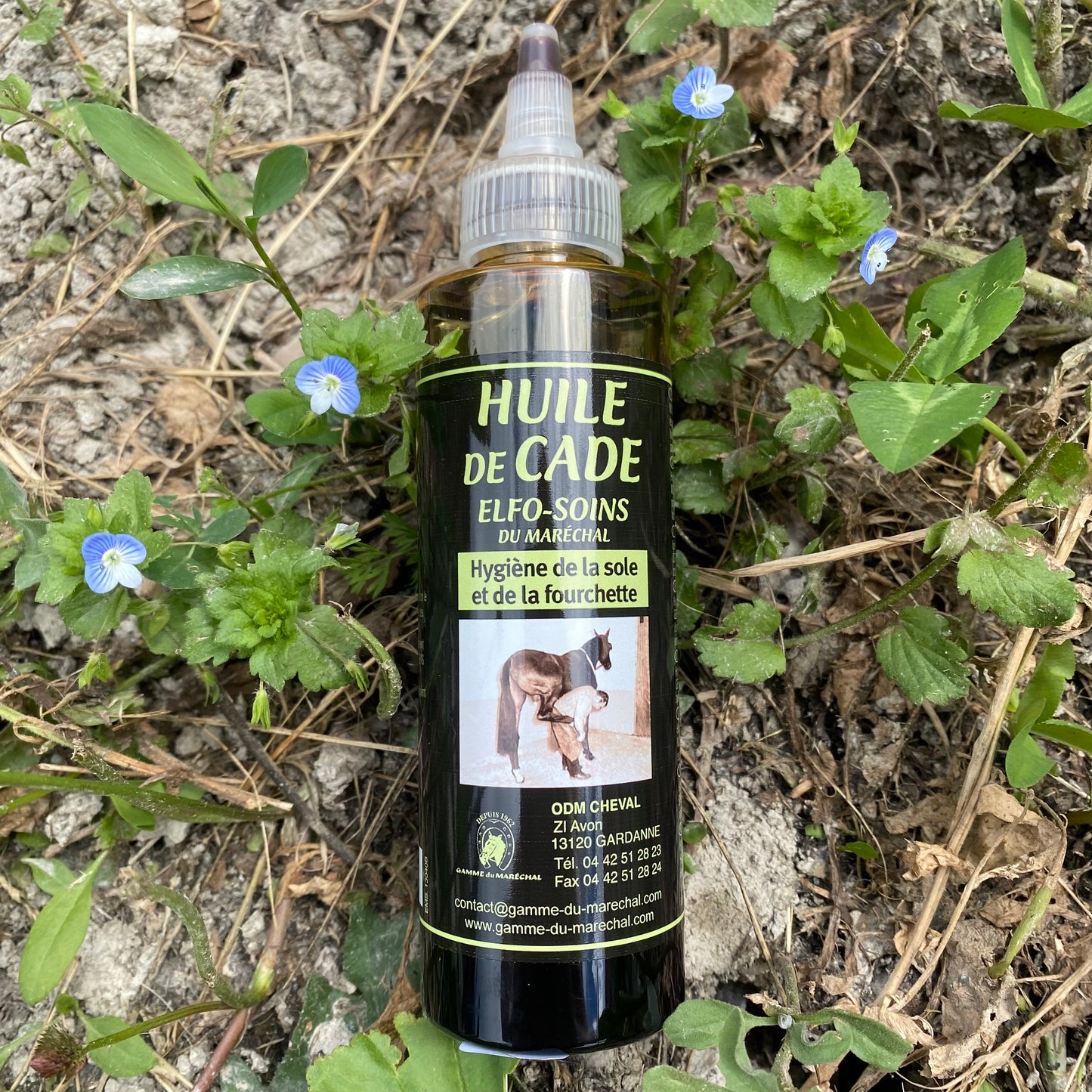 Huile de Cade ~ ELFO-SOINS 125ml