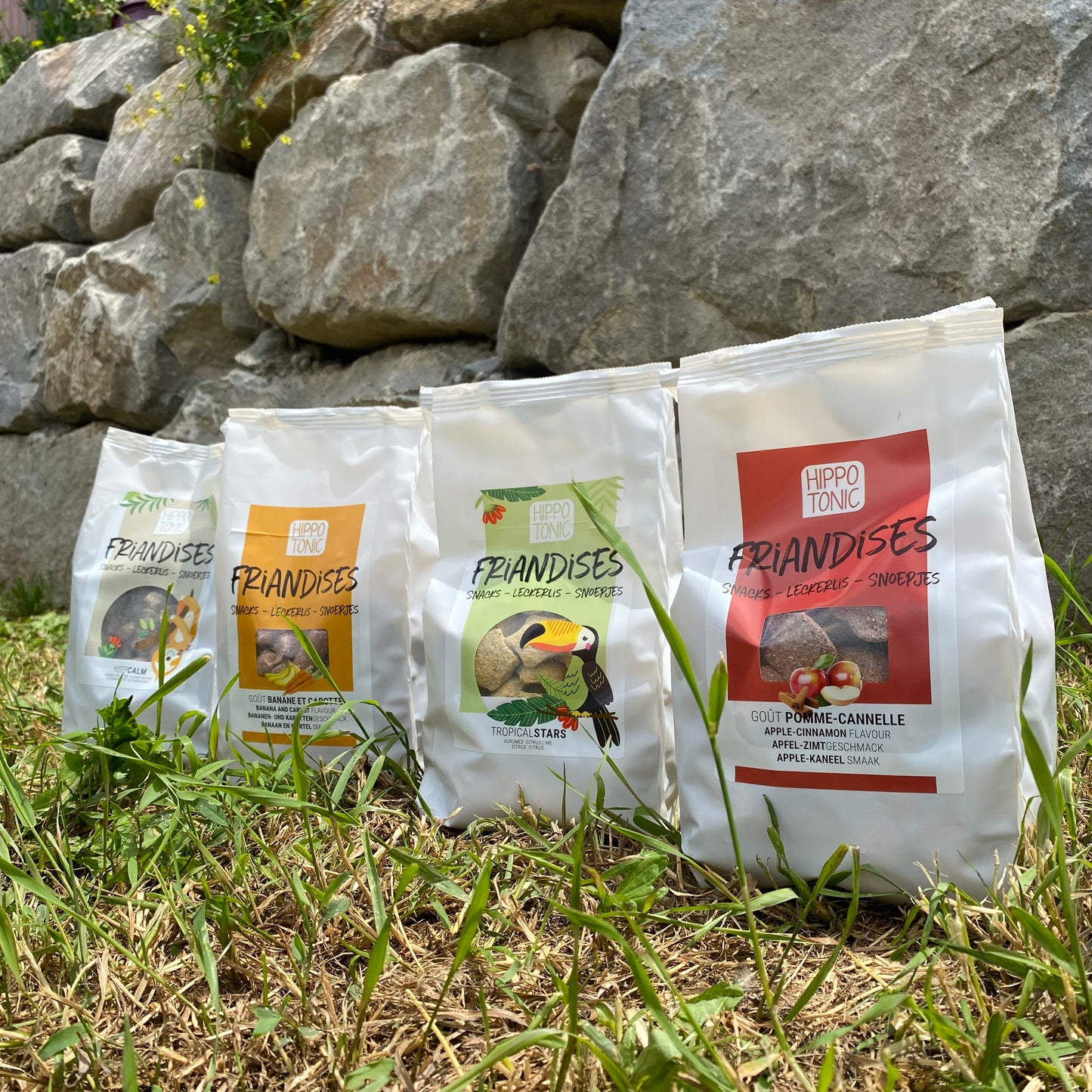 Friandises POMME ~ HIPPOTONIC 1KG