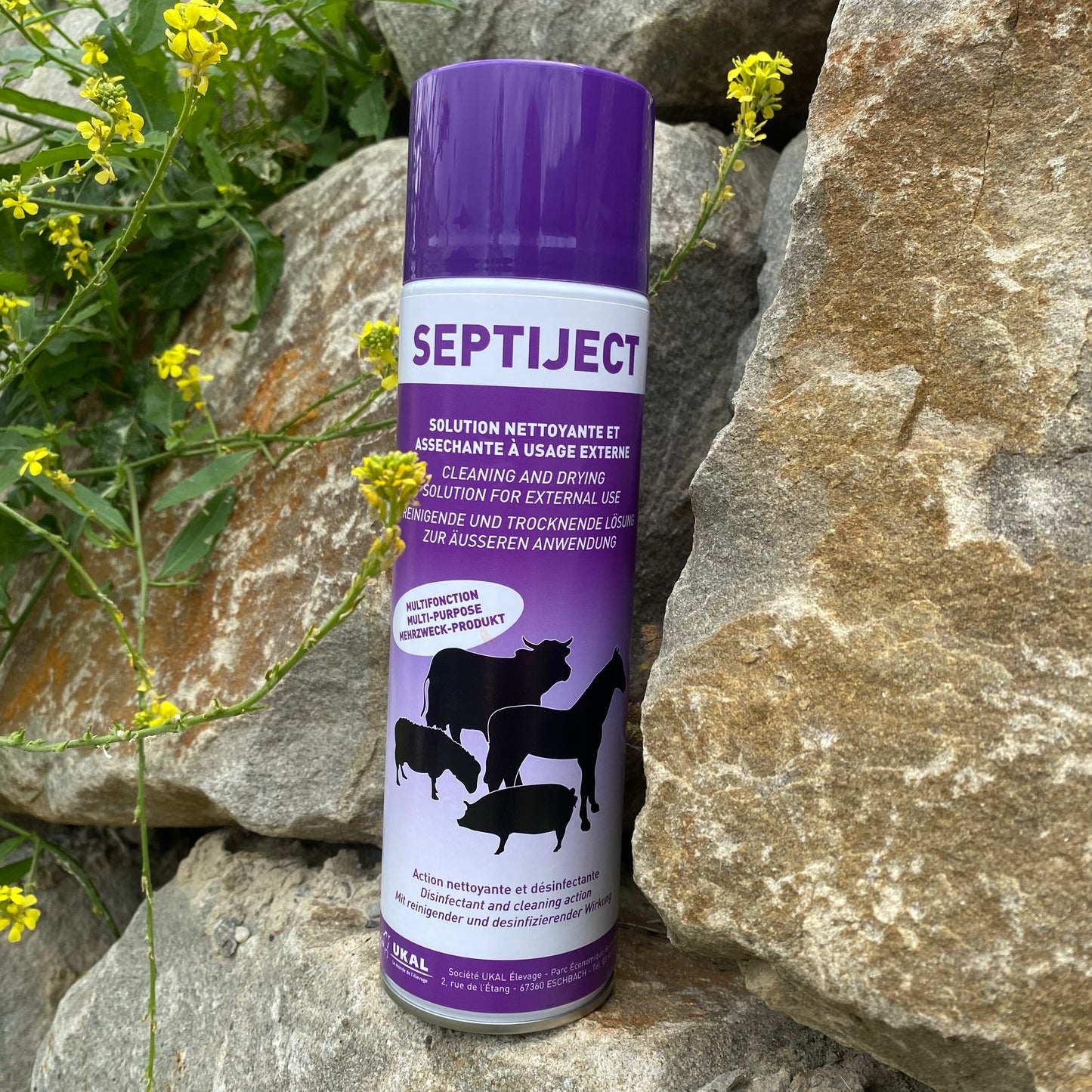 Spray antiseptique ~ SEPTIJET 500ml