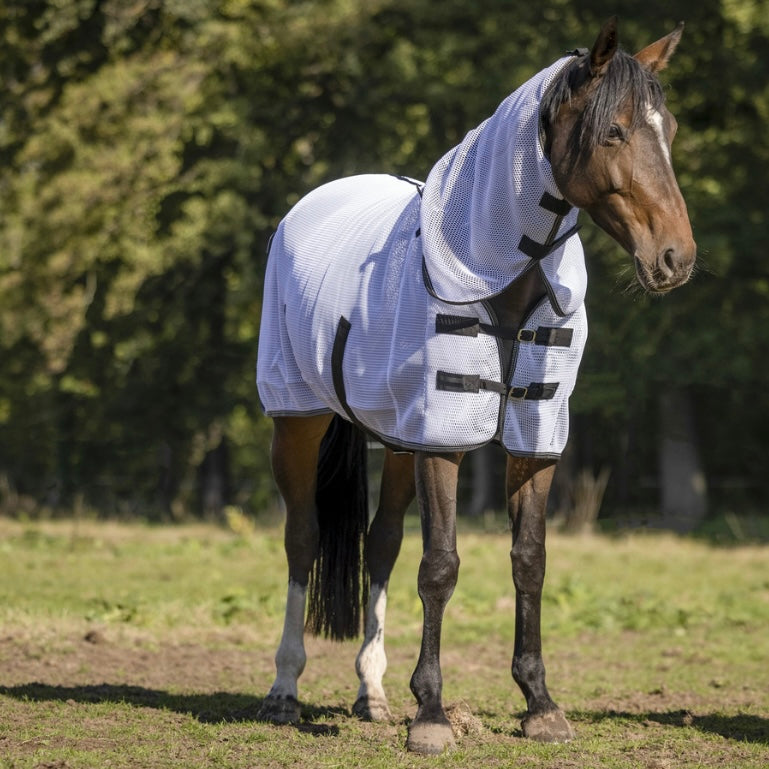 Chemise 2 en 1 (anti-insectes et séchante) ~ Equithème 3D Mesh