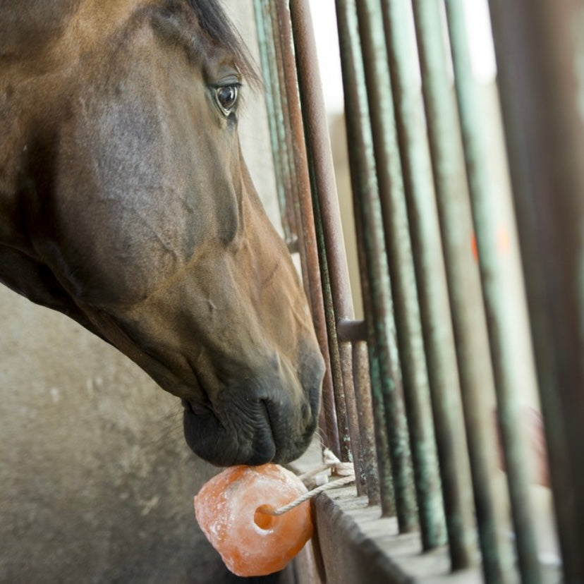 Pierre à sel naturelle HIMALAYA ~ 1,5 kg