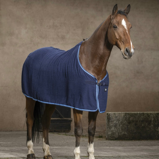 Chemise éponge ~ RIDINGWORLD