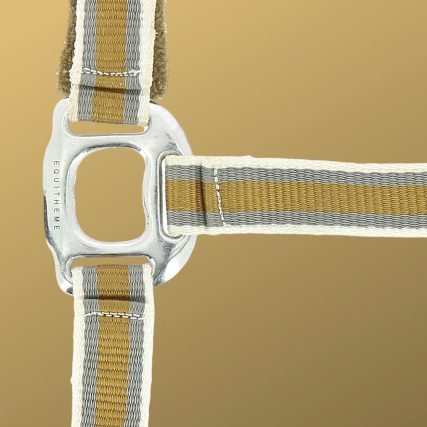 Licol ~ Equithème Ligne