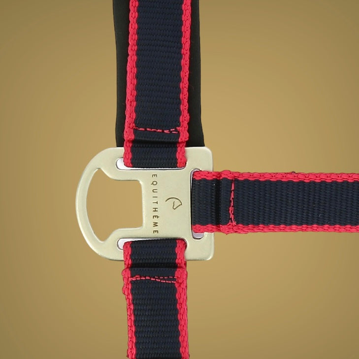 Licol + longe ~ Equithème Satiné