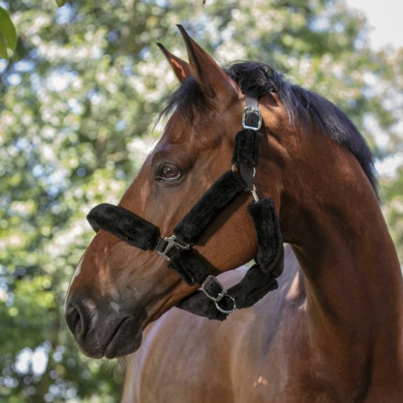 Licol noir full mouton ~ NORTON