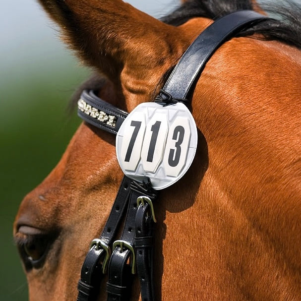 Numéro de départ EQUITHÈME 3 chiffres rond