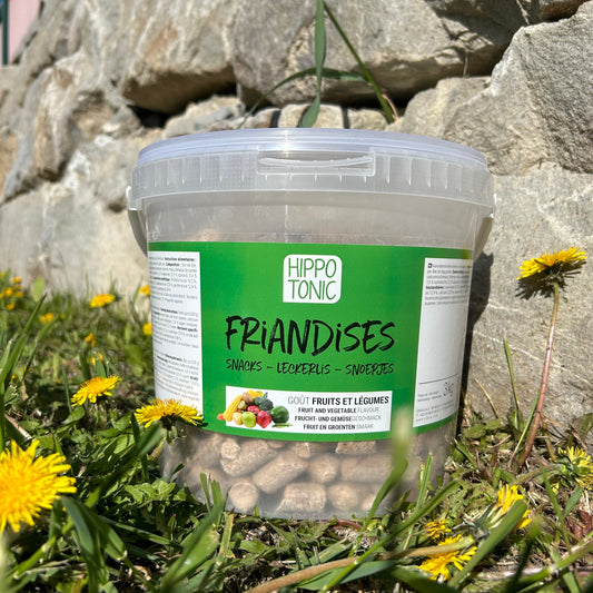 Seau Hippotonic friandises fruits & légumes ~ 3kg